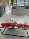 嘉泰物業(yè)|端午節(jié),，揚(yáng)帆日,，一“粽”定乾坤！